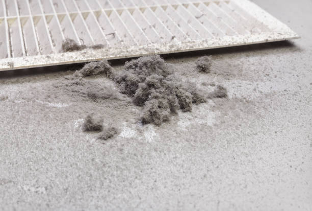 Best Duct Cleaning Specialists  in Linntown, PA