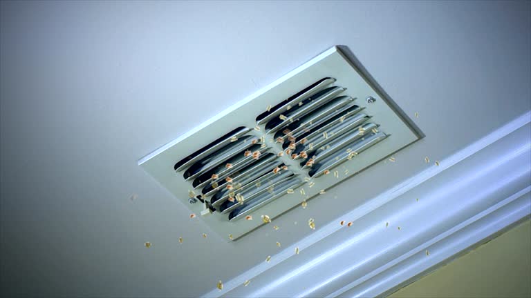 Best Ductwork Cleaning Services  in Linntown, PA
