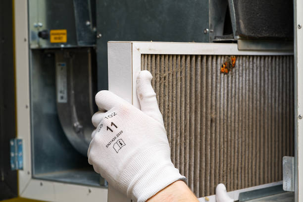 Best Local Air Duct Cleaning Services  in Linntown, PA
